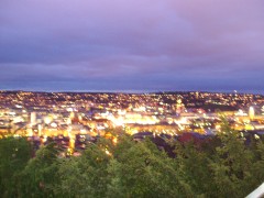 �V���g�D�b�g�K���g�̖�i