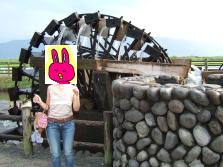 �O�A����